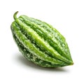 Single Fresh Green Bitter Melon Isolated on Black Background Royalty Free Stock Photo