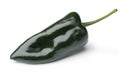 Single fresh green Mexican Poblano Pepper on white background