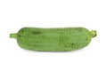 Single fresh green sponge gourd or luffa isolated on white Royalty Free Stock Photo