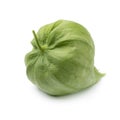 Single fresh green tomatillo in a husk on white background