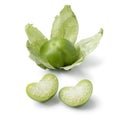 Single fresh green whole and halved tomatillo in a husk on white background