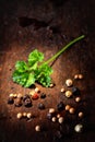 Fresh crinkly parsley and peppercorns Royalty Free Stock Photo