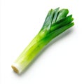 Fresh Leek Vegetable With Green Stalk and White Base Isolated on White Background Studio Shot Royalty Free Stock Photo