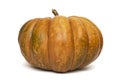 Single fresh orange pumpkin isolated on white background. Pumpkin isolated on a white background Royalty Free Stock Photo