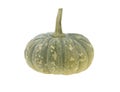 Single fresh pumpkin isolated on white background Royalty Free Stock Photo