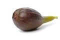 Single fresh purple fig isolated on white background Royalty Free Stock Photo