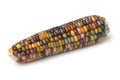 Single colorful gem glass corn on cob