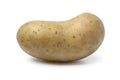 Single fresh raw Levante potato on white background Royalty Free Stock Photo