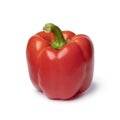 Single fresh red bell pepper Royalty Free Stock Photo