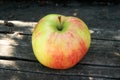 A single fresh red green apple on old wooden background in sunny day, close-up. Still life from ripe apple for Royalty Free Stock Photo