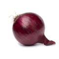 Single fresh red onion isolated on white background close up Royalty Free Stock Photo