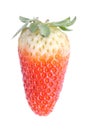 Single fresh red strawberry Royalty Free Stock Photo