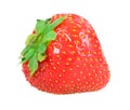 Single fresh red strawberry Royalty Free Stock Photo