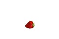 Single fresh red strawberry isolated on white background Royalty Free Stock Photo