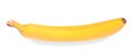 Single fresh and ripe bright yellow banana, isolated on a white background. Raw tropical fruits. Sweet bananas. Royalty Free Stock Photo