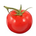 Single fresh ripe red tomato isolated on a white Royalty Free Stock Photo