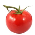 Single fresh ripe red tomato isolated on a white Royalty Free Stock Photo