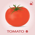 Single Fresh Ripe Tomato On A Background.