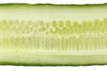 Single fresh slice of cucumber close up on white background Royalty Free Stock Photo