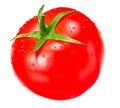 single fresh tomato isolated on white background. close up Royalty Free Stock Photo