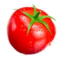 single fresh tomato isolated on white background. full depth of field Royalty Free Stock Photo