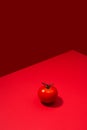 Single fresh tomatoe presented on red background Royalty Free Stock Photo