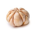 Single fresh white garlic bulb isolated on white background with clipping path, Thai herb is great for healing several severe