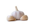 Single fresh white garlic bulb with segments isolated on white background with clipping path, Thai herb is great for healing