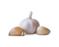Single fresh white garlic bulb with segments isolated on white background with clipping path, Thai herb is great for healing