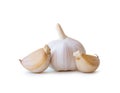 Single fresh white garlic bulb with segments isolated on white background with clipping path, Thai herb is great for healing