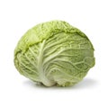 Single fresh whole Savoy cabbage isolated on white background Royalty Free Stock Photo