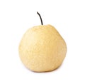 Single fresh yellow Chinese pear isolated on white background with clipping path Royalty Free Stock Photo