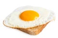 Single fried egg Royalty Free Stock Photo