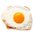 Single fried egg