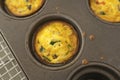 Single frittata muffin in pan fresh from the oven Royalty Free Stock Photo