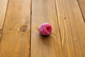 Single frozen raspberry on a wooden table