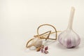 Garlic bulb and bulbil on white background Royalty Free Stock Photo