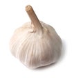 Single garlic bulb on white