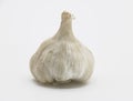 single garlic over on white background