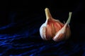 A single garlic torn open against dark blue textile background