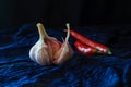 A single garlic torn open and two red fresh chili against dark blue textile background