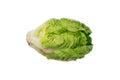 Single gem lettuce isolated on white background. Royalty Free Stock Photo