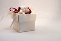  single gift box with red and white ribbon and a white flower with a pearl on white background