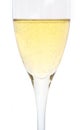 Single glass of Champagne