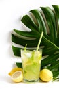 Single glass of iced lemonade with monstera leaf. Studio shot of refreshing non alcoholic mojito drink with lemon slices, mint Royalty Free Stock Photo