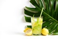 Single glass of iced lemonade with monstera leaf. Studio shot of refreshing non alcoholic mojito drink with lemon slices, mint Royalty Free Stock Photo