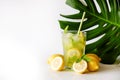 Single glass of iced lemonade with monstera leaf. Studio shot of refreshing non alcoholic mojito drink with lemon slices, mint Royalty Free Stock Photo