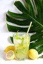 Single glass of iced lemonade with monstera leaf. Studio shot of refreshing non alcoholic mojito drink with lemon slices, mint Royalty Free Stock Photo