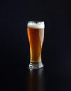 A single glass of light-colored beer with a small layer of foam rests on a dark, reflective surface Royalty Free Stock Photo