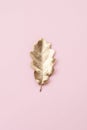 Single gold painted oak leaf on a pink background